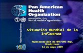 .. Situación Mundial de la Influenza Representación de OPS/OMS Rep. Dominicana 14 de mayo 2009.