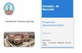 Docente: Ing. Jonatán Edward Rojas Polo Proyectos Agroindustriales Estudio de Mercado Sesión 4 1.