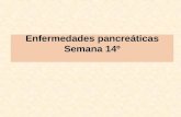Enfermedades pancreáticas Semana 14º. Funciones del páncreas Endocrina Exocrina.