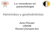 Helmintos y geohelmintos Ana Flisser UNAM flisser@unam.mx Lo novedoso en parasitología.