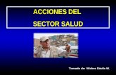 ACCIONES DEL SECTOR SALUD Tomado de: Vilchez Dávila W.