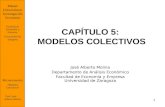 1 CAPÍTULO 5: MODELOS COLECTIVOS José Alberto Molina Departamento de Análisis Económico Facultad de Economía y Empresa Universidad de Zaragoza Máster Universitario.