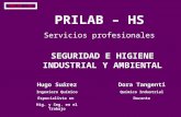 PRILAB – HS Servicios profesionales SEGURIDAD E HIGIENE INDUSTRIAL Y AMBIENTAL Hugo Suárez Ingeniero Químico Especialista en Hig. y Seg. en el Trabajo.