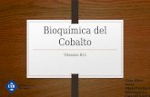 Bioquímica del Cobalto Vitamina B12 Clara Oliver Duran Albert Fiol Ibars Bioinorgánica Curs 2013-2014.