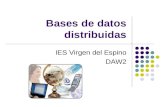 Bases de datos distribuidas IES Virgen del Espino DAW2.