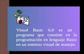 Visual Basic 6.0 es un programa que consiste en la programación en lenguaje Basic en un entorno visual de manejo.