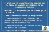 I REUNION DE COORDINACION ANDINA EN EL TEMA DE CAMBIO CLIMATICO EN LA SUBREGION ANDINA MODULO I : Preparación de temas para la COP10 Tema: Vulnerabilidad.