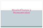 Bioelementos y Biomoléculas. Biomoléculas El medio interno de los seres vivos está compuesto por una compleja trama de moléculas. Miles de ellas se encuentran.