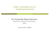 SBR: Desafíos de la Implementación M. Fernanda Plaza Sánchez División Control Financiero SVS Diciembre 2006.