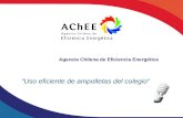 Agencia Chilena de Eficiencia Energética “Uso eficiente de ampolletas del colegio”