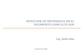 1 Septiembre 2006 INYECCION DE MICROGELES EN EL YACIMIENTO LOMA ALTA SUR Ing. Delia Diaz.