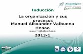 1 La organización y sus procesos Inducción Manuel Alexander Valbuena Henao maxelvh@hotmail.com 2013-1.