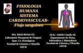 FISIOLOGIA HUMANA SISTEMA CARDIOVASCULAR- Flujo sanguíneo Dra. María Rivera Ch. Laboratorio Transporte de Oxígeno Dpto. Cs. Fisiológicas Facultad de Ciencias.