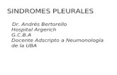 SINDROMES PLEURALES Dr. Andrés Bertorello Hospital Argerich G.C.B.A Docente Adscripto a Neumonología de la UBA Dr. Andrés Bertorello Hospital Argerich.