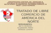 UNIVERSIDAD CENTRAL DE VENEZUELA ESCUELA DE ESTUDIOS INTERNACIONALES RELACIONES ECONÓMICAS INTERNACIONALES IV PROF. LUISA ROMERO TRATADO DE LIBRE COMERCIO.