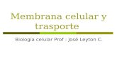 Membrana celular y trasporte Biología celular Prof : José Leyton C.