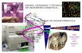 GENES, GENOMAS Y TÉCNICAS DE INGENIERÍA GENÉTICA...... CON UN TOQUE DE BIOINFORMÁTICA.