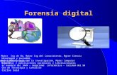 Forensia digital Expositor y publicaciones nacionales e internacionales Ex miembro del IRAM – Seguridad Informática – Calidad del SW Gte de Tecnología.