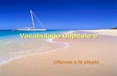 Vocabulario Capítulo 9 ¡Vamos a la playa!. La playa.