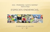 Endémicos en acción. 5° - “B” ESC. PRIMARIA “JUSTO SIERRA” MATUTINA.