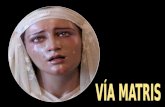 El Vía Matris es el camino que recorrió María de regreso, desde el Santo Sepulcro hasta su casa. Es un camino en el que recuerda y revive el Vía Crucis,