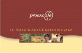 Central de Cooperativas Procesadora y Exportadora de Café de El Salvador, PROEXCAFE de R.L Se consolida en el año 2001, como un esfuerzo de un grupo de.