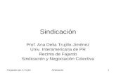Sindicación1 Prof. Ana Delia Trujillo-Jiménez Univ. Interamericana de PR Recinto de Fajardo Sindicación y Negociación Colectiva Preparado por A Trujillo.