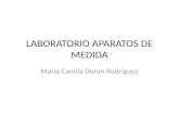 LABORATORIO APARATOS DE MEDIDA María Camila Duran Rodriguez.
