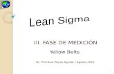 I.III. FASE DE MEDICIÓN Dr. Primitivo Reyes Aguilar / agosto 2012 1 Yellow Belts.