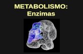 METABOLISMO: Enzimas. Control de las reacciones celulares Las enzimas son proteínas globulares Las enzimas controlan la velocidad de las reacciones químicas.
