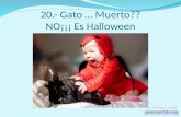 20.- Gato … Muerto?? NO¡¡¡ Es Halloween. 21.- Gato Hipnotizado Yo no creo …en … eso….zzzz.