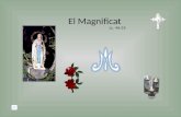El Magnificat Lc. 46-55 Proclama mi alma la grandeza del Señor Ntra. Sra. De la Inmaculada Concepción Patrona Nacional de Nicaragua.