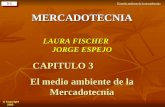 3-1  Copyright 2002 El medio ambiente de la mercadotecniaMERCADOTECNIA LAURA FISCHER JORGE ESPEJO CAPITULO 3 El medio ambiente de la Mercadotecnia.
