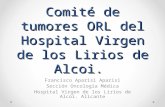 Comité de tumores ORL del Hospital Virgen de los Lirios de Alcoi. Francisco Aparisi Aparisi Sección Oncología Médica Hospital Virgen de los Lirios de Alcoi.