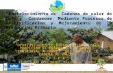 “ Fortalecimiento de Cadenas de valor de Café y Cardamomo, Mediante Procesos de Diversificacion y Mejoramiento de la Produccion Primaria” “OPORTUNIDADES.