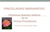 PINCELADAS MARIANITAS Provincia Nuestra Señora de la Divina Providencia Puerto Rico, Santo Domingo, Miami.