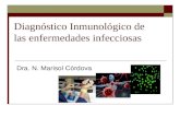 Diagnóstico Inmunológico de las enfermedades infecciosas Dra. N. Marisol Córdova.