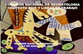 REUNION RAMA DE NEONATOLOGIA 13 DE AGOSTO DE 2003 COMISION NACIONAL DE NEONATOLOGIA CONTEXTO PAIS Y LINEAS DE TRABAJO.