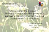 Características Físicas y Germinativas de semillas pratenses nativas y naturalizadas del Dominio Húmedo del Sur de Chile. Claudia Ordóñez R. Prof. Laura.