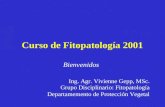 Curso de Fitopatología 2001 Bienvenidos Ing. Agr. Vivienne Gepp, MSc. Grupo Disciplinario: Fitopatología Departamemento de Protección Vegetal.