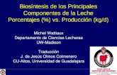 1 Biosíntesis de los Principales Componentes de la Leche Porcentajes (%) vs. Producción (kg/d) Michel Wattiaux Departamento de Ciencias Lecheras UW-Madison.