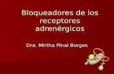 Bloqueadores de los receptores adrenérgicos Dra. Mirtha Pinal Borges.