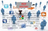 RED SOCIAL El usuario tiene la posibilidad de crear redes sociales a partir de su propio blog. Los usuarios en este interactúan y socializan en base a.