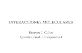 INTERACCIONES MOLECULARES Ernesto J. Calvo Química Gral. e Inorgánica I.