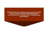 IMPORTANCIA DEL Streptococcus pneumoniae COMO AGENTE PRODUCTOR DE ENFERMEDAD EN EL SALVADOR, SU TIPIFICACION Y SENSIBILIDAD BACTERIANA.