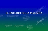 EL ESTUDIO DE LA MALARIA. Situación de Venezuela en el Contexto Geográfico.