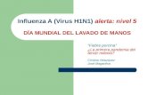Influenza A (Virus H1N1) alerta: nivel 5 DÍA MUNDIAL DEL LAVADO DE MANOS “Fiebre porcina” ¿La primera pandemia del tercer milenio? Cristina Velazquez José.