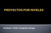 Profesor: Víctor Guajardo Vargas.  Conjunto de escritos, cálculos y dibujos que se hacen para dar idea de cómo ha de ser y lo que ha de costar una obra.