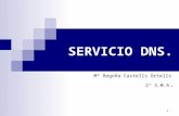 SERVICIO DNS. Mª Begoña Castells Ortells 2º S.M.R. 1.