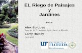 EL Riego de Paisajes y Jardines Part II Alex Bolques Agente de Extensión Agricola en la Florida Larry Halsey (retirado)